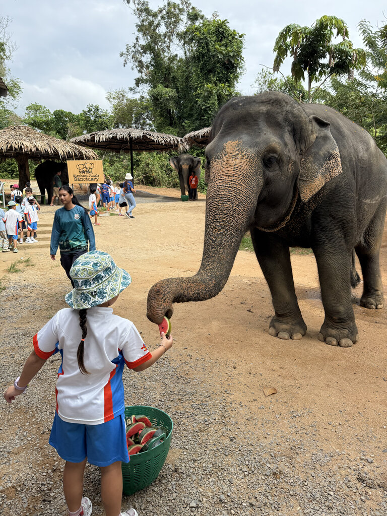 student with an elephant